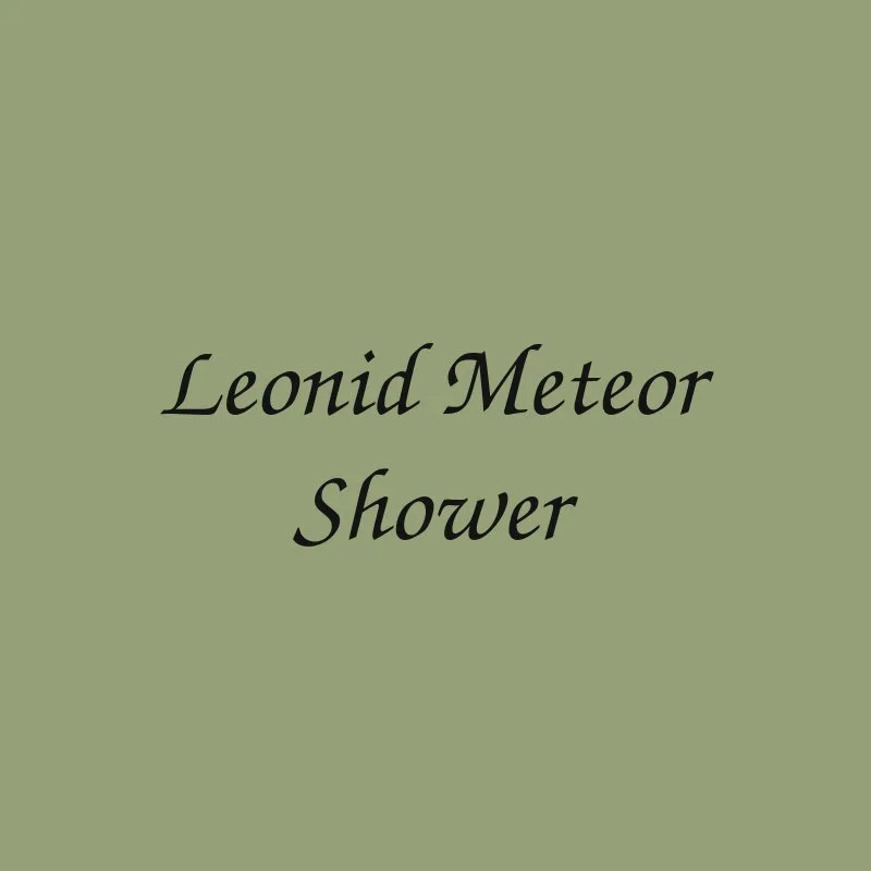 leonid-meteor-shower